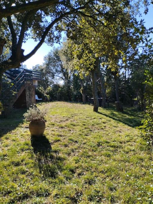 Willa Casa De Camp Prop De La Costa Brava Romanyá de la Selva Zewnętrze zdjęcie